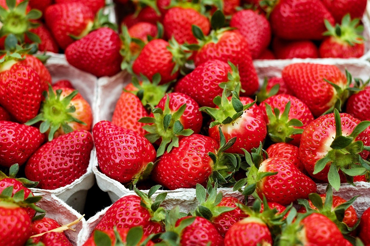 Met jouw horeca-onderneming naar een event
